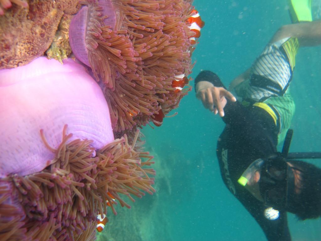 Ombak Dive Resort Perhentian Island Pulau Perhentian Kecil Ngoại thất bức ảnh